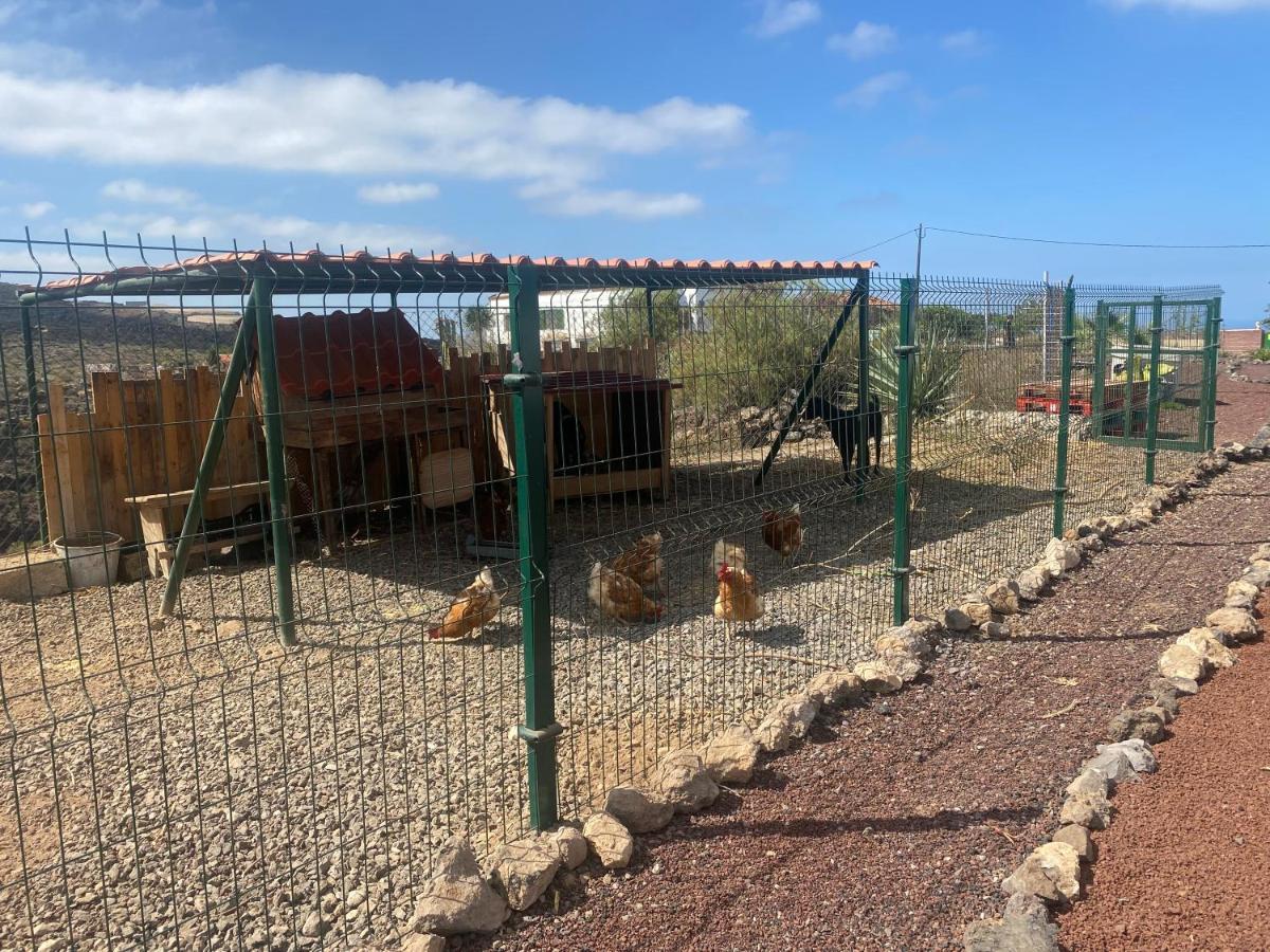 Mini Casa Finca Arcoiris Tenerife Ґія-де-Ісора Екстер'єр фото
