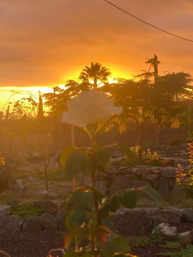 Mini Casa Finca Arcoiris Tenerife Ґія-де-Ісора Екстер'єр фото