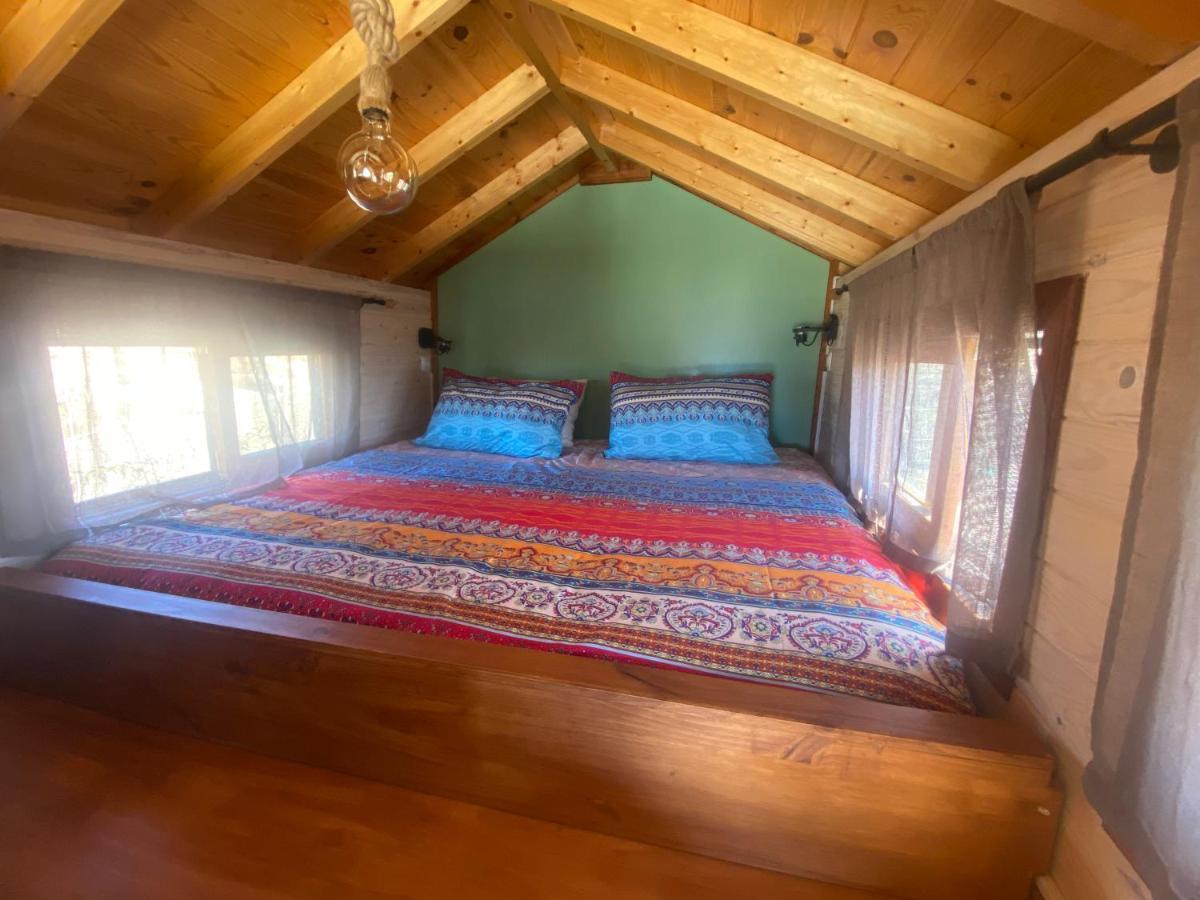 Mini Casa Finca Arcoiris Tenerife Ґія-де-Ісора Екстер'єр фото
